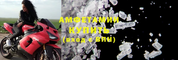 PSILOCYBIN Гатчина