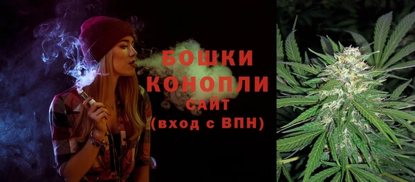 PSILOCYBIN Гатчина