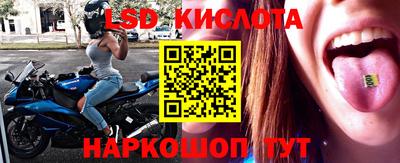 гидра Новодвинск