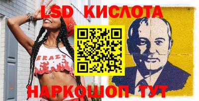 гидра Новодвинск