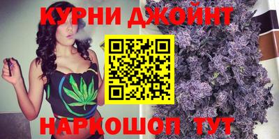 гидра Новодвинск