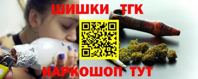гидра Новодвинск