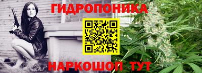 гидра Новодвинск