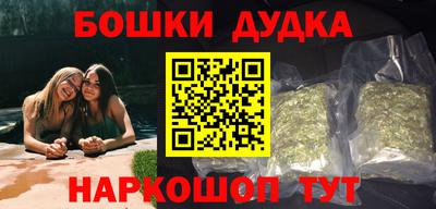 гидра Новодвинск