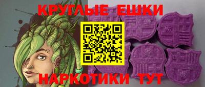 гидра Новодвинск