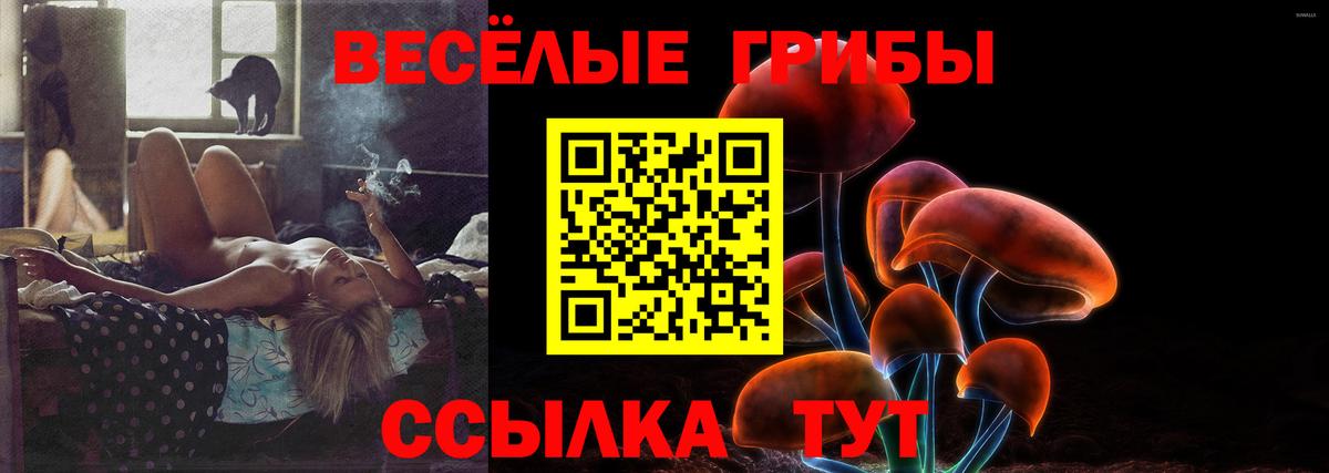 Галлюциногенные грибы MAGIC MUSHROOMS  Вход с VPN  Ухта 